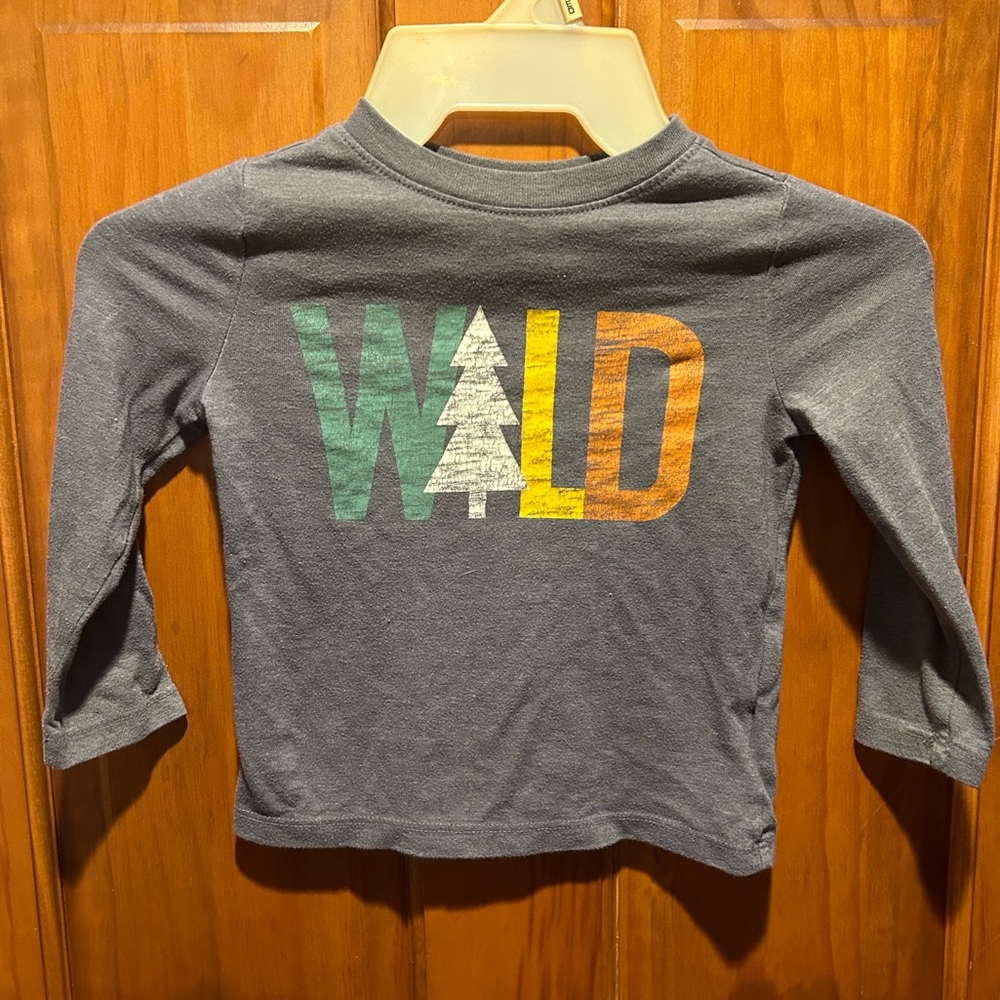 Old Navy | Toddler Boys Gray “Wild” Long Sleeve Tee